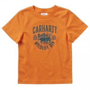 Carhartt CA6068 - Short Sleeve Graphic Tee - Boys - Exotic Orange